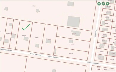 518 Rancho Blanco Rd, Alamo, TX 78516 - photo 5