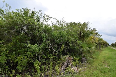 0 36th Ave SE unit 225081357, Naples, FL 34117 - photo 2