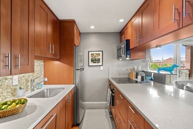 411 Shawmut Ave unit 7, Boston, MA 02118 - photo 5