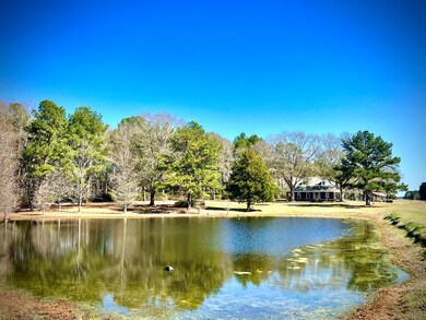 1652 Mcmillan, Osyka, MS 39657 - photo 2