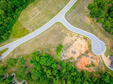 Lot 130 Southern Shore Point, Huntingdon, TN 38344 - photo 4