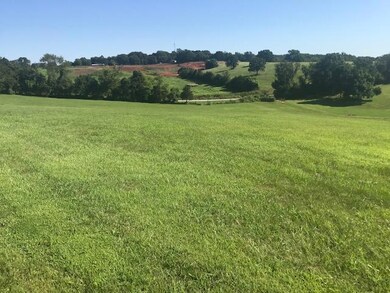 1661 S Songbird Cir, Nixa, MO 65714 - photo 2