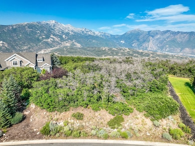 View of mountain background with a tree filled landscape