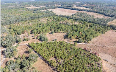 TBD7 129th Rd, Live Oak, FL 32060 - photo 6