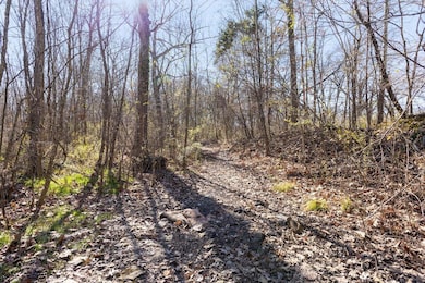 TRAILS THROUGHOUT