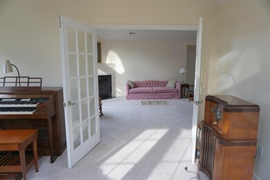 Bluestone french doors