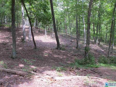 0 County Road 3292 unit 4 827712, Wedowee, AL 36278 - photo 7