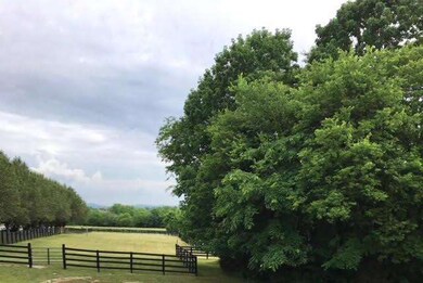 0 River Bend Rd unit RTC1693106, Shelbyville, TN 37160 - photo 4