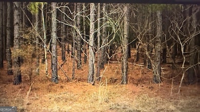 LOT 8-9 Rocky Springs Rd, Eastman, GA 31023 - photo 2