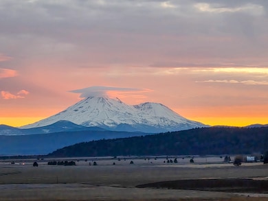 0 Log House Rd, MacDoel, CA 96058 - photo 2