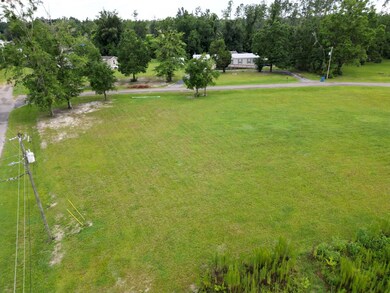 LOT 1 Thomas Cir, Wewahitchka, FL 32465 - photo 4