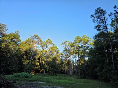 000 Lakeshore Way, Cordele, GA 31015 - photo 2