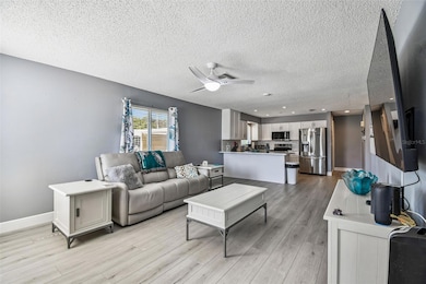 3160 Downing St, Clearwater, FL 33759 - photo 3