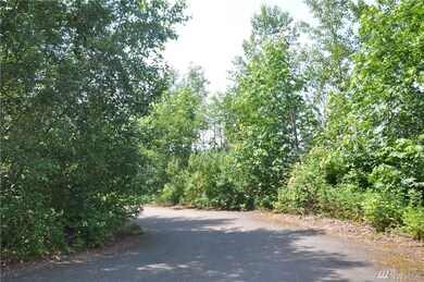 42 Brays Way, Bellingham, WA 98226 - photo 3