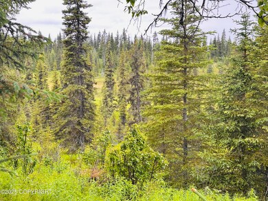 IMG_4465