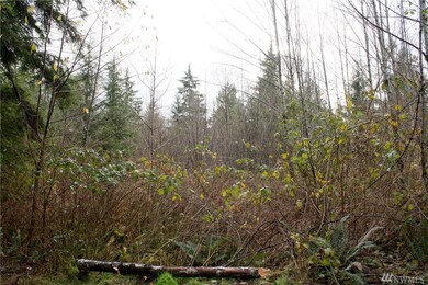 27418 E Lake Riley Rd, Arlington, WA 98223 - photo 3