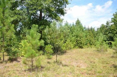 1355 Pete Roberson Rd, Pittsboro, NC 27312 - photo 6