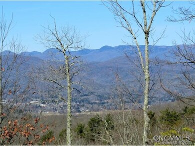Blue Ridge Parkway View