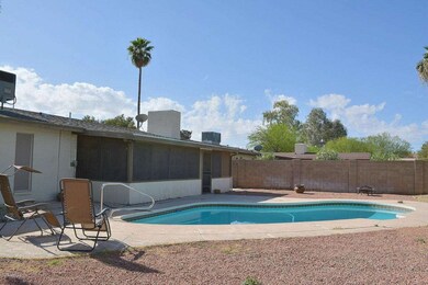 6 Backyard