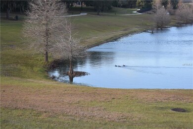 30126 Bretton Loop, Mount Dora, FL 32757 - photo 6