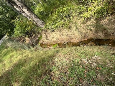 View of undeveloped land