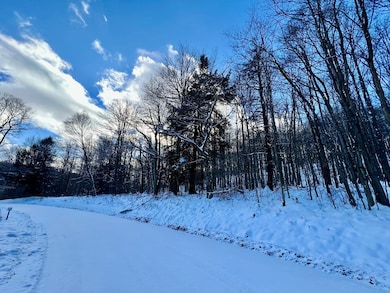 00 Brizzee Hollow, Genesee, PA 16923 - photo 3