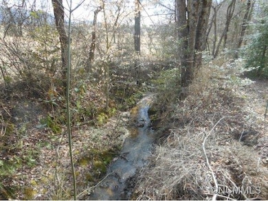 Babbling brook