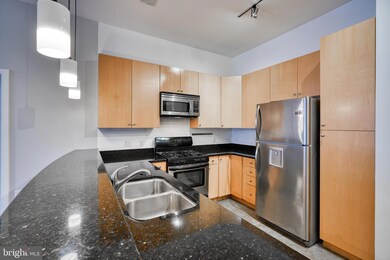 Twelve 09 unit 111, Baltimore, MD 21201 - photo 3