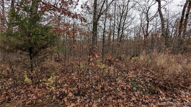 Looking into the land