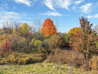 306 Algonquin Rd, South Barrington, IL 60010 - photo 7