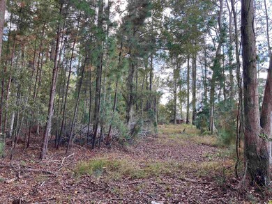 13.39 Acres Harbor Aly, Myrtle Beach, SC 29577 - photo 3