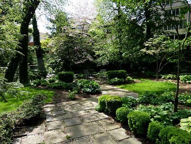 Yard/Garden.