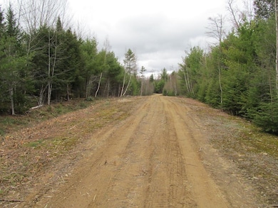 052 Bradbury Ridge Rd Off Averill, Dixfield, ME 04224 - photo 2