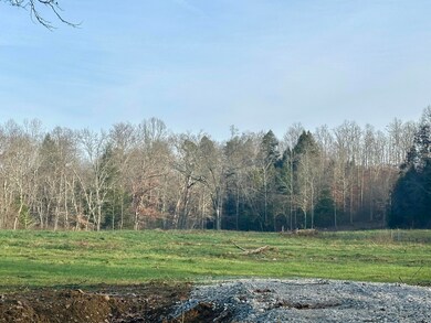 Lot 4 Radford Rd, East Bernstadt, KY 40729 - photo 4