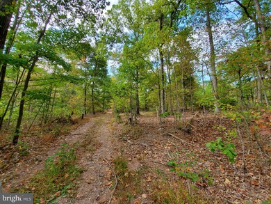 19.39 Acres Apple Harvest Dr, Gerrardstown, WV 25420 - photo 2