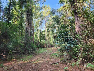 0 Lowery Rd unit Lot 10 382938, Atmore, AL 36502 - photo 7