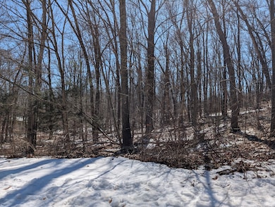 view from street looking towards the driveway and 