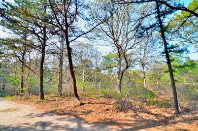 3 Briarwood Ln, West Tisbury, MA 02575 - photo 3