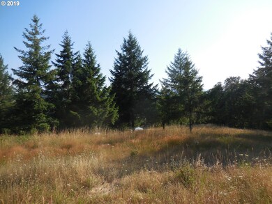 0 NE Center St, Sheridan, OR 97378 - photo 2