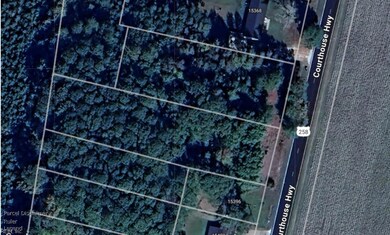 1 ACRE Courthouse Hwy, Isle of Wight County, VA 23430 - photo 2