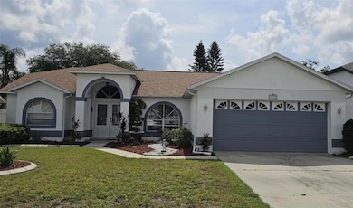 4500 Onorio St, New Port Richey, FL 34653 - photo 6