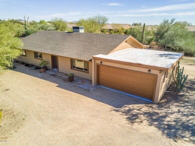 Desert Forest DRONE PHOTOS (2)