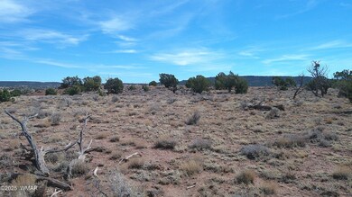 0 Windsor Valley Ranch unit 254962, Concho, AZ 85924 - photo 7