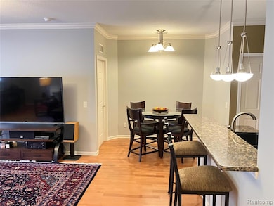 331 Scio Village Ct unit 281, Ann Arbor, MI 48103 - photo 7