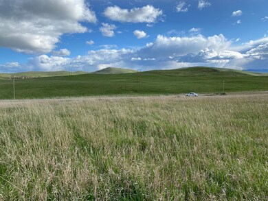 IMG_2269
