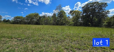 Lot 1 Austin Bottom Rd, Baxter, TN 38544 - photo 2