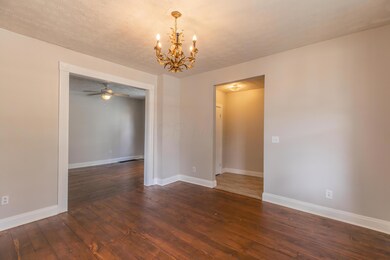 133Cypress-3542