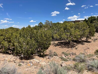 921 S Panorama Dr, Cedar City, UT 84720 - photo 6