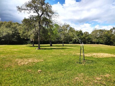 7200 County Road 194, Alvin, TX 77511 - photo 6