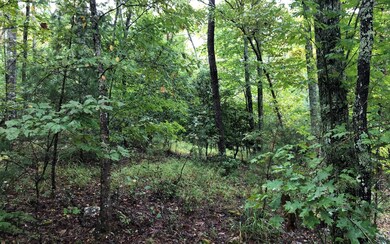 Additional View